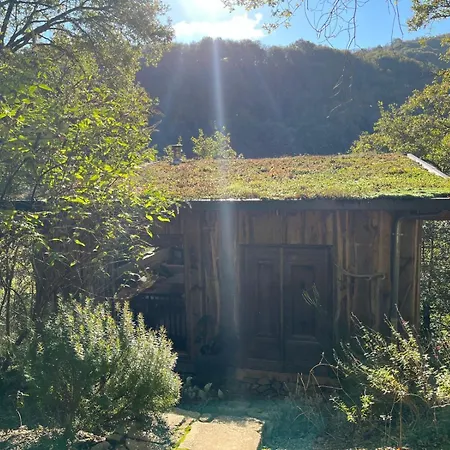 Private Estate With 3 Houses, Sauna & Hot-tub * Castelnau-de-Mandailles